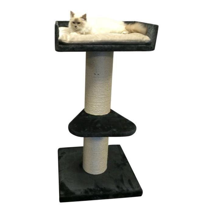 arbre a chat maine coon lounge